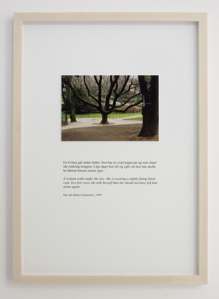 view images14
