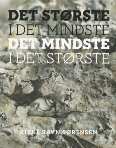 Det største i det mindste