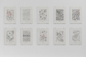 _F6A0113 web