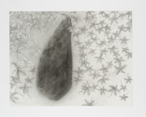 Grey-10_2017