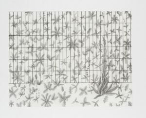 Grey-12_2018