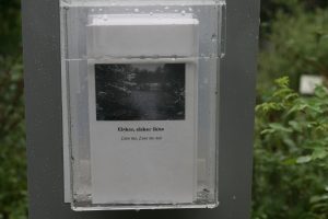 elsker-vinter