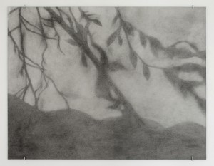 grey_6