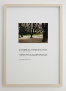 view images14