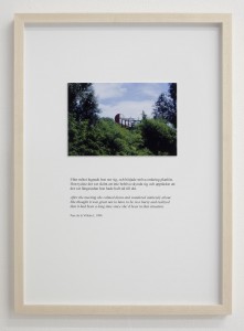 view images15